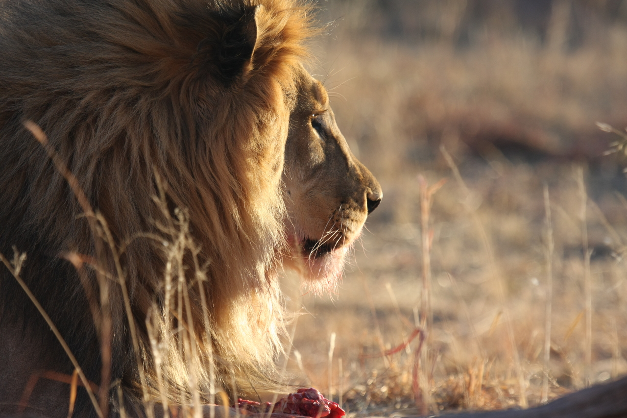 [7753] 2016_06_23_11_45_09_Africa_Canon_EOS_40D_IMG__01028.jpg