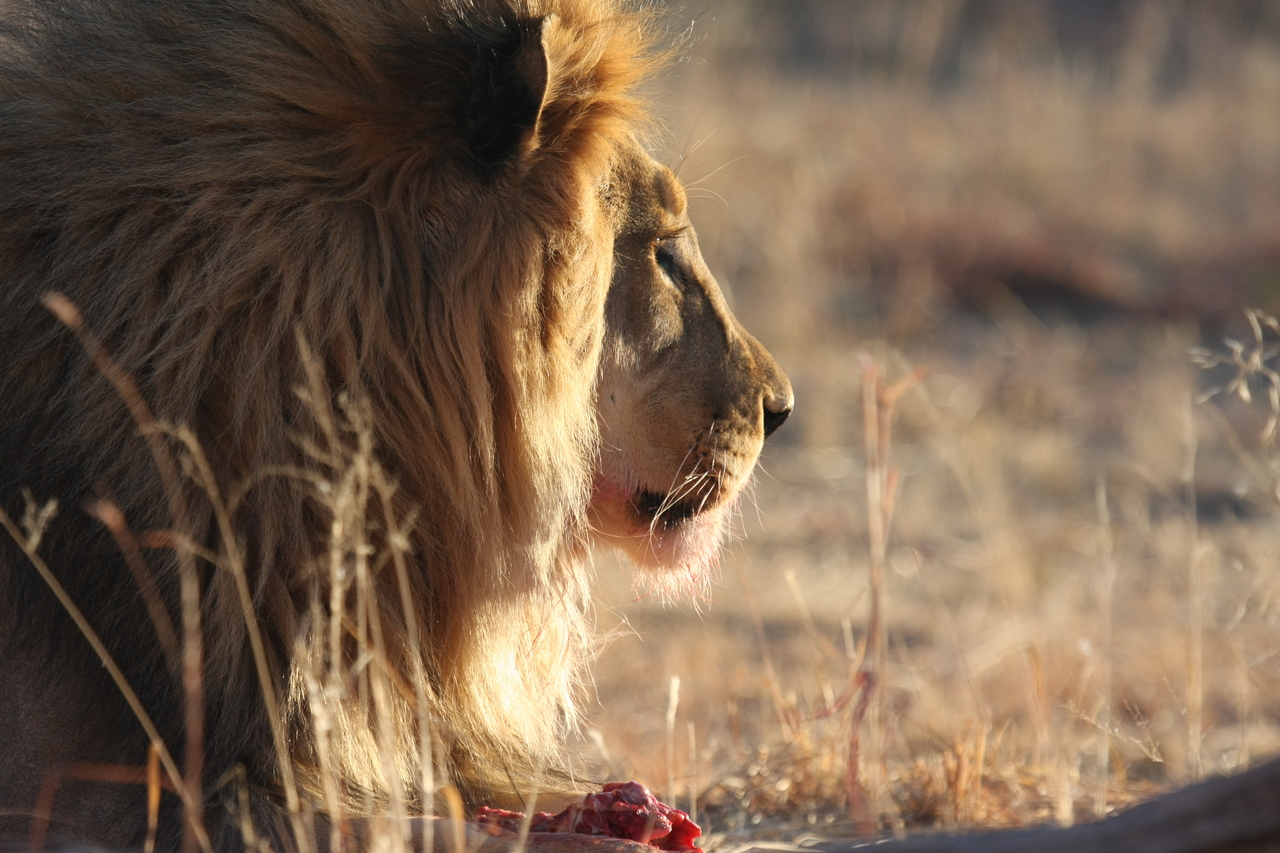 [7754] 2016_06_23_11_45_09_Africa_Canon_EOS_40D_IMG__01859.jpg