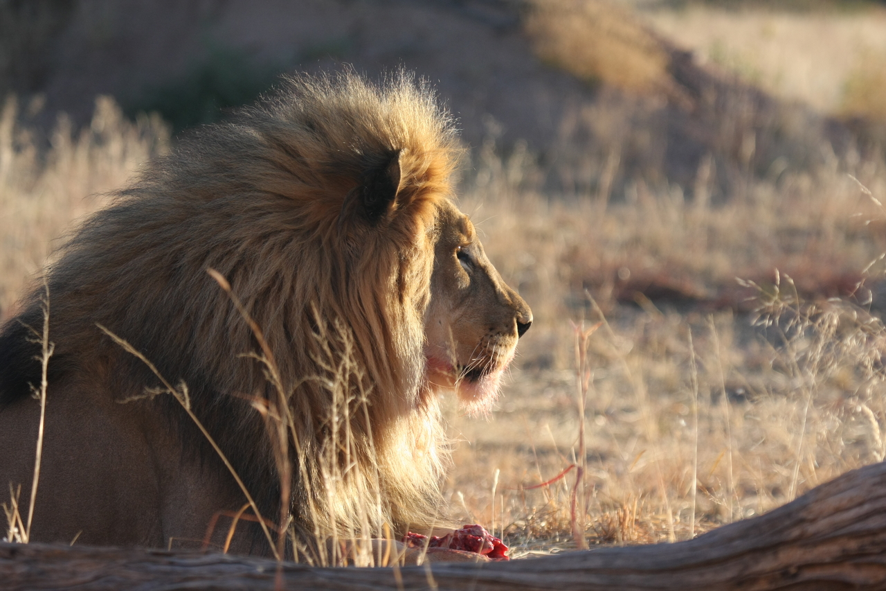 [7763] 2016_06_23_11_45_14_Africa_Canon_EOS_40D_IMG__01863.jpg