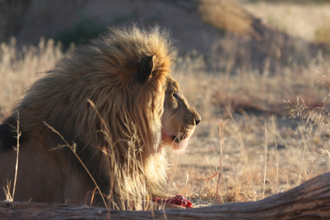 [7771] 2016_06_23_11_45_15_Africa_Canon_EOS_40D_IMG__01034.jpg