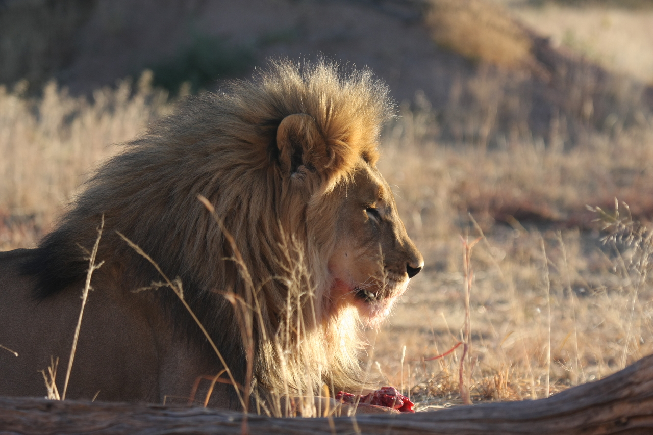 [7781] 2016_06_23_11_45_17_Africa_Canon_EOS_40D_IMG__01036.jpg