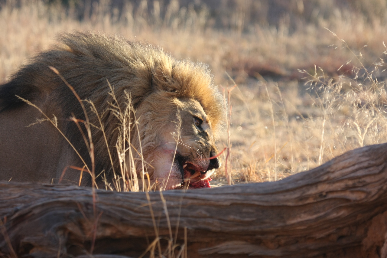 [7786] 2016_06_23_11_45_50_Africa_Canon_EOS_40D_IMG__01871.jpg