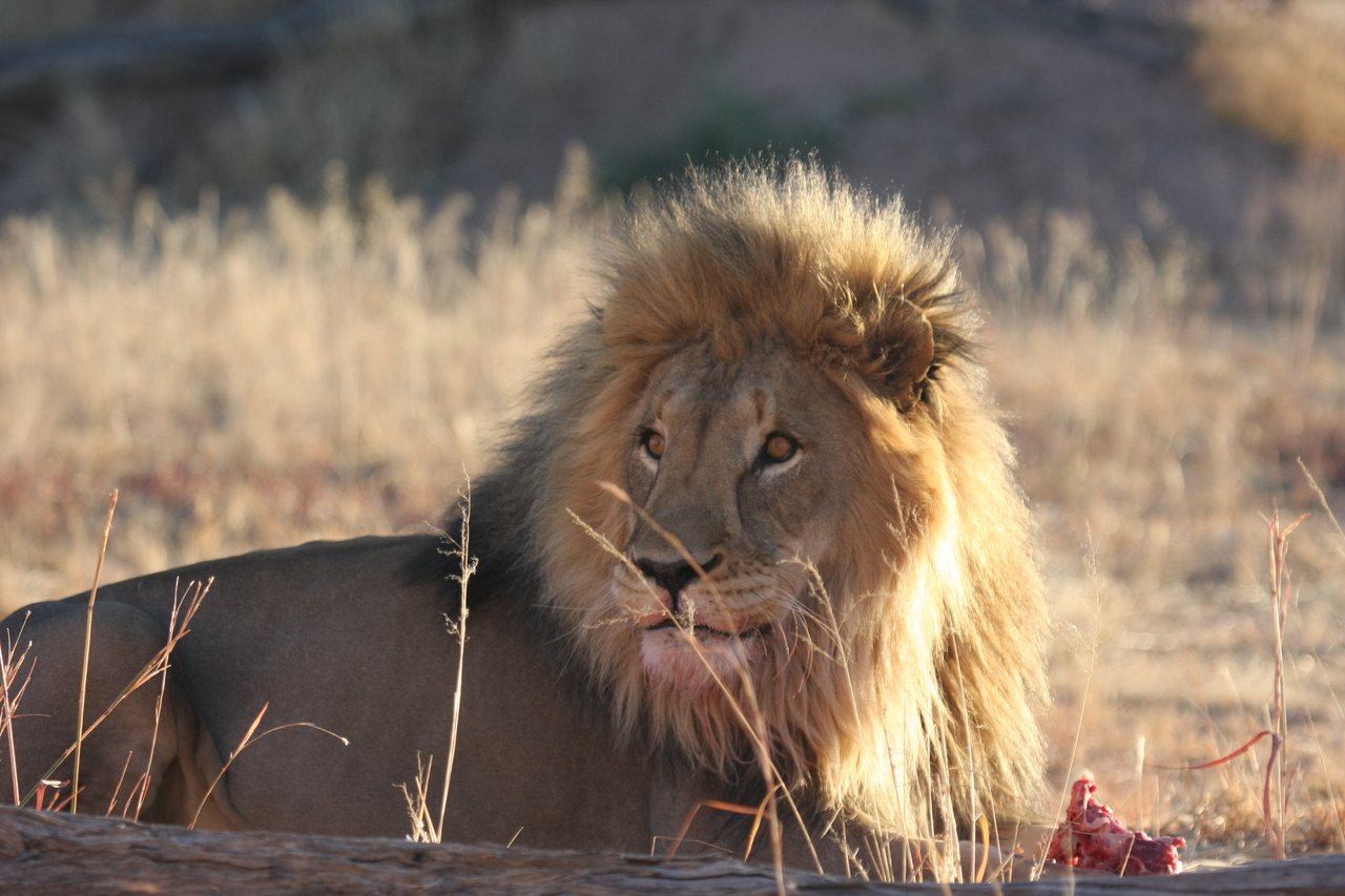 [7792] 2016_06_23_11_46_00_Africa_Canon_EOS_40D_IMG__01042.jpg