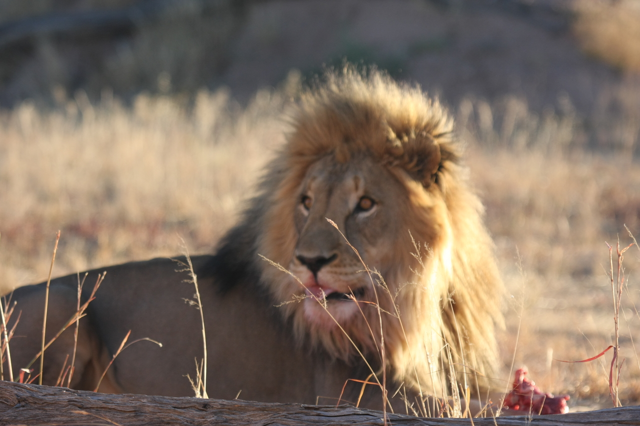 [7796] 2016_06_23_11_46_00_Africa_Canon_EOS_40D_IMG__09321.jpg