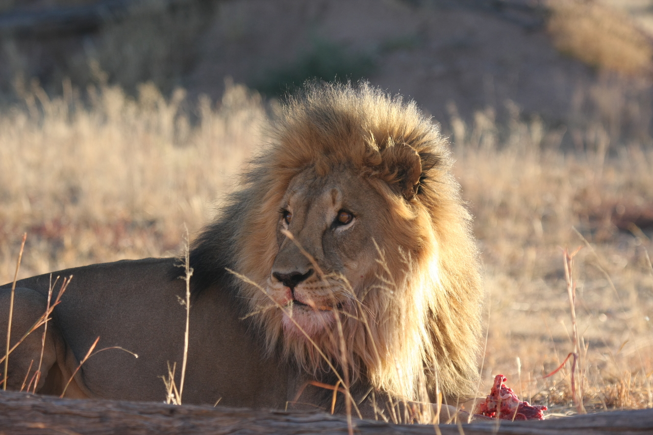 [7799] 2016_06_23_11_46_01_Africa_Canon_EOS_40D_IMG__01043.jpg