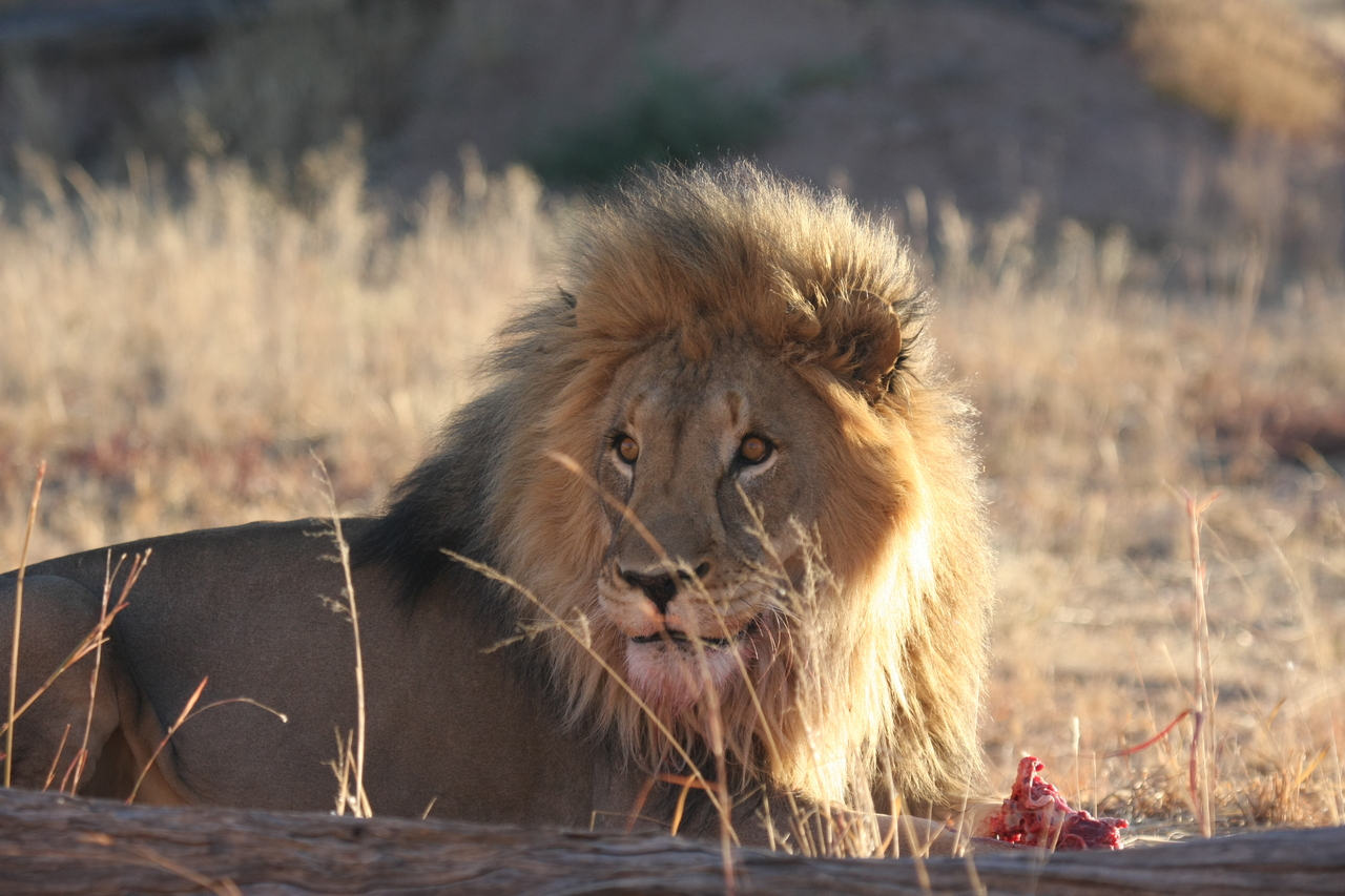 [7803] 2016_06_23_11_46_02_Africa_Canon_EOS_40D_IMG__01045.jpg