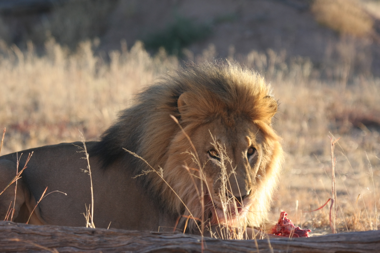 [7810] 2016_06_23_11_46_02_Africa_Canon_EOS_40D_IMG__09327.jpg