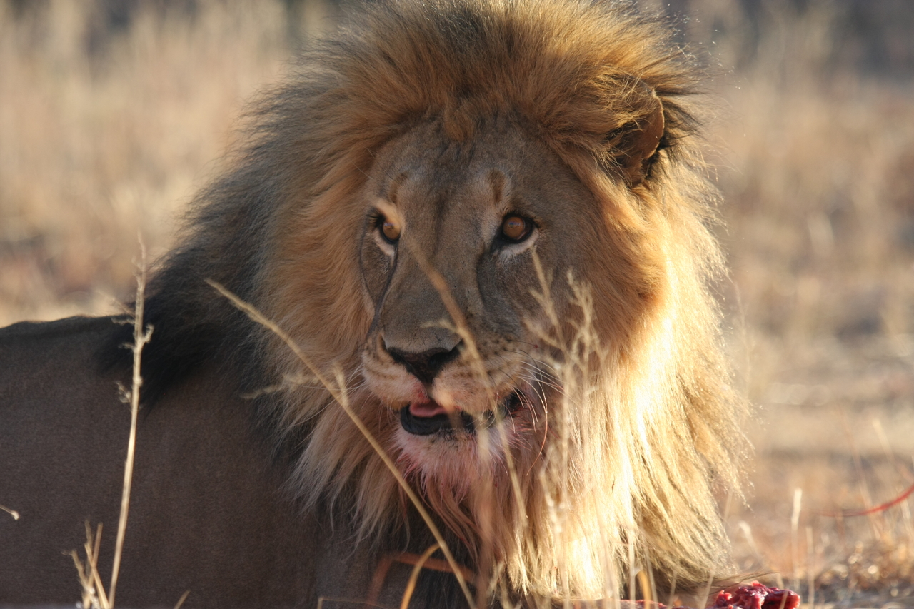 [7832] 2016_06_23_11_46_22_Africa_Canon_EOS_40D_IMG__01051.jpg