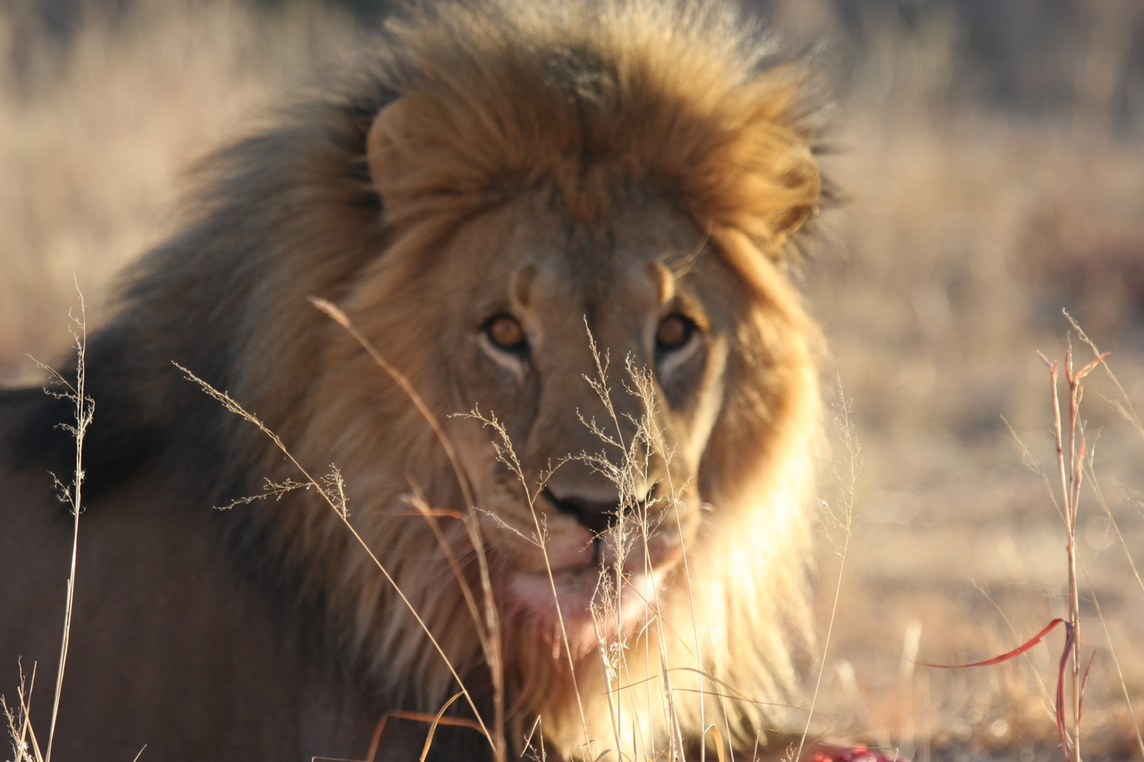 [7856] 2016_06_23_11_46_25_Africa_Canon_EOS_40D_IMG__01057.jpg