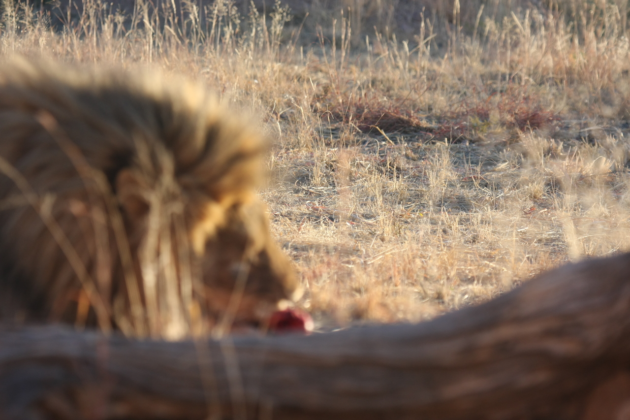 [7864] 2016_06_23_11_46_51_Africa_Canon_EOS_40D_IMG__01059.jpg