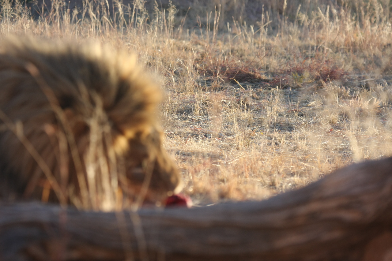 [7869] 2016_06_23_11_46_51_Africa_Canon_EOS_40D_IMG__09342.jpg