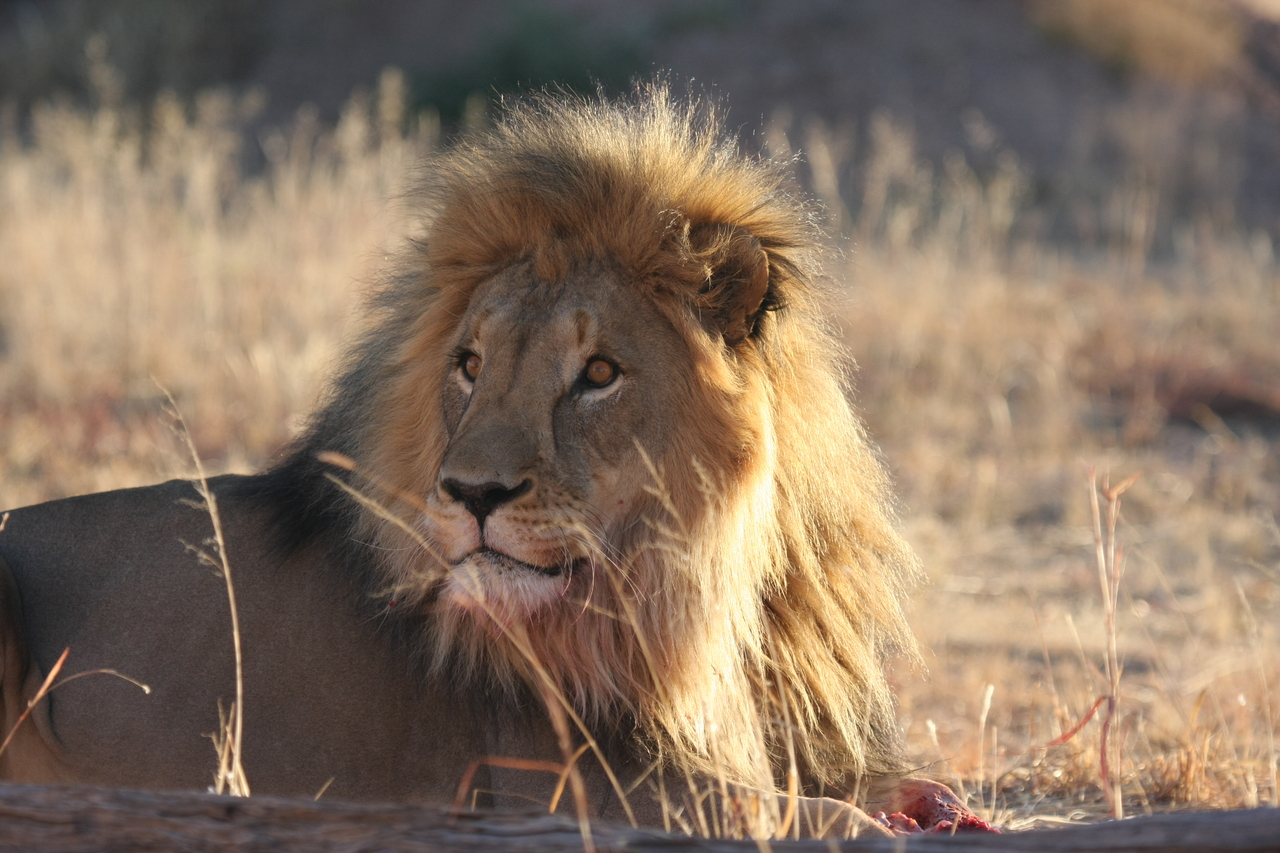 [7881] 2016_06_23_11_47_21_Africa_Canon_EOS_40D_IMG__09346.jpg