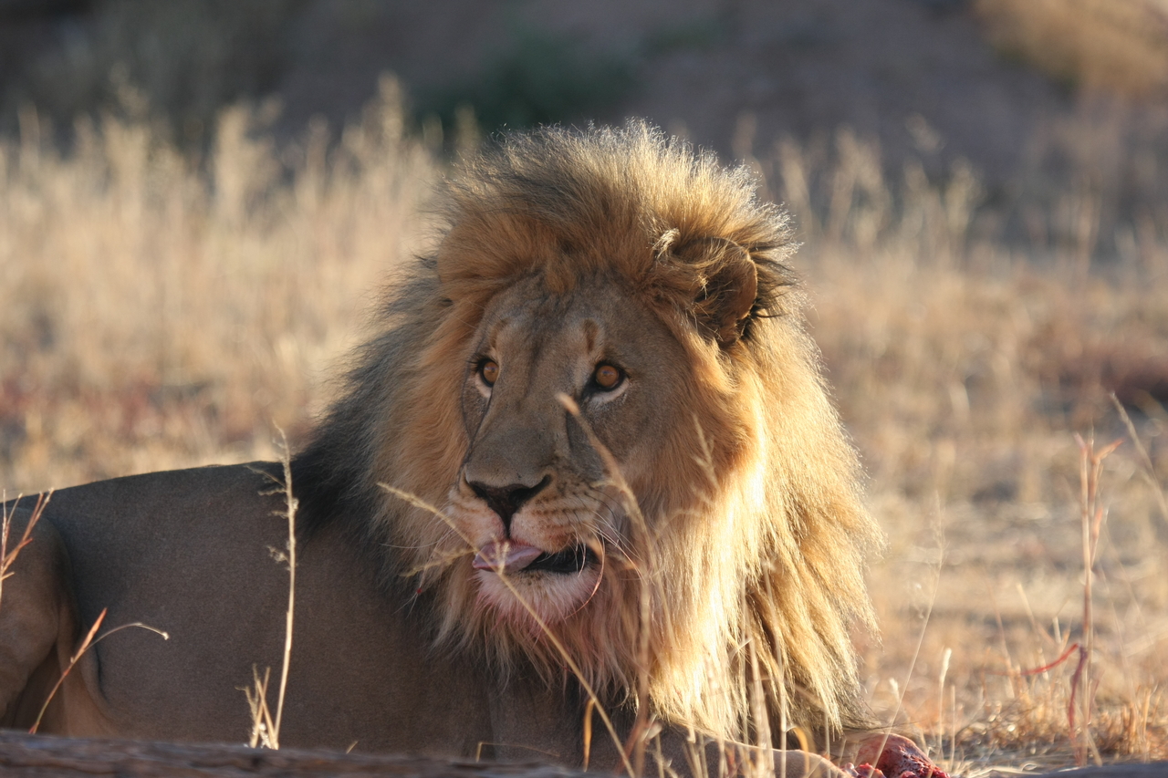 [7886] 2016_06_23_11_47_22_Africa_Canon_EOS_40D_IMG__01901.jpg