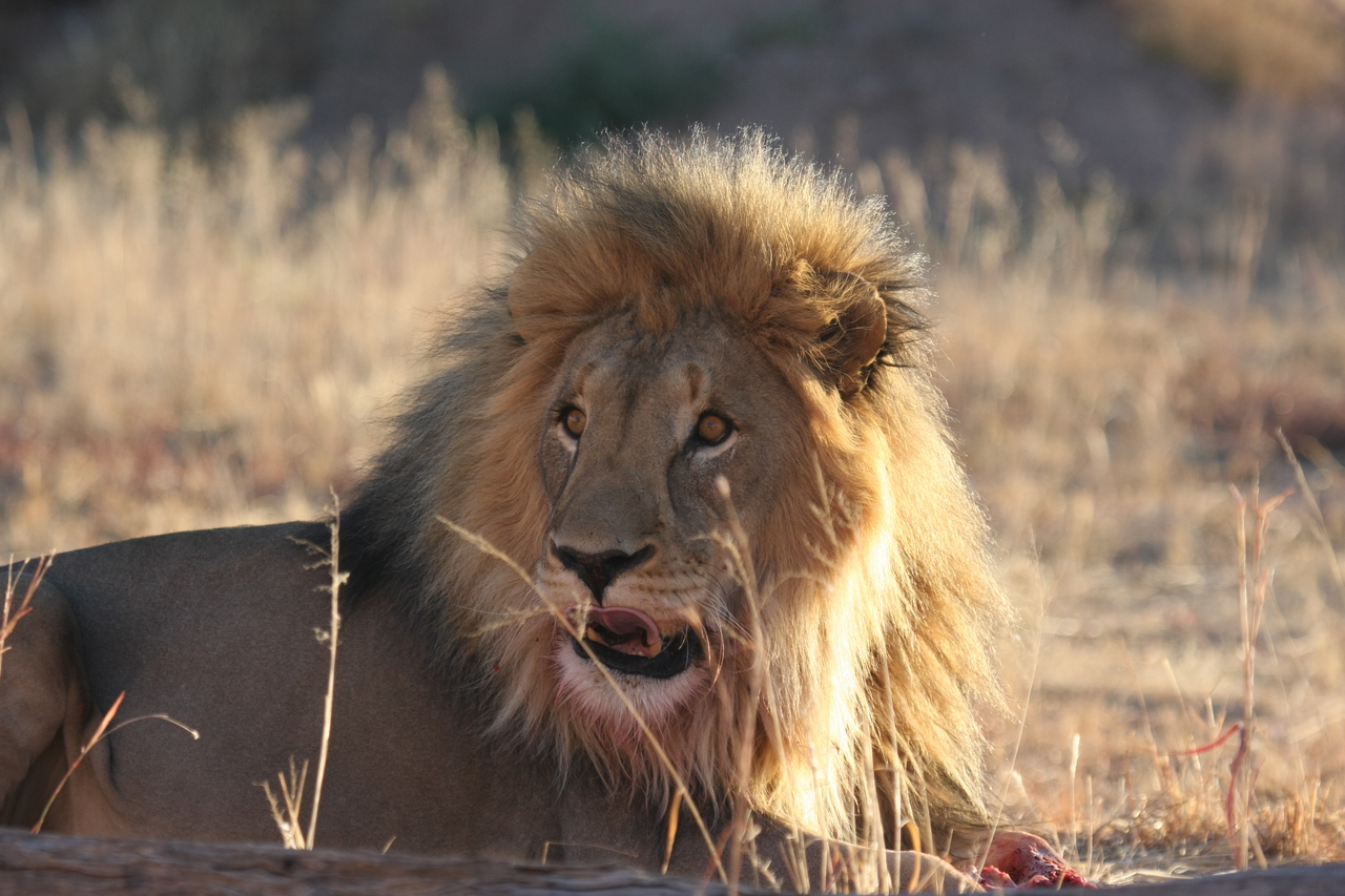 [7890] 2016_06_23_11_47_22_Africa_Canon_EOS_40D_IMG__09349.jpg