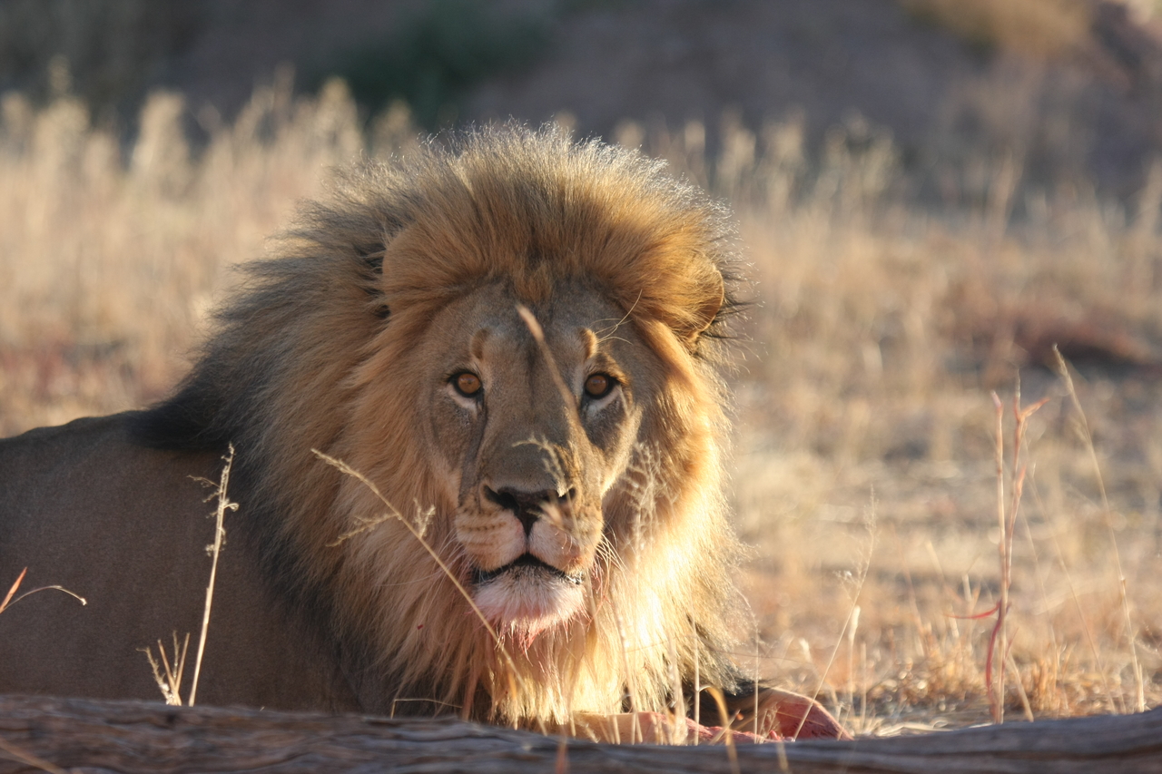 [7903] 2016_06_23_11_47_30_Africa_Canon_EOS_40D_IMG__01074.jpg