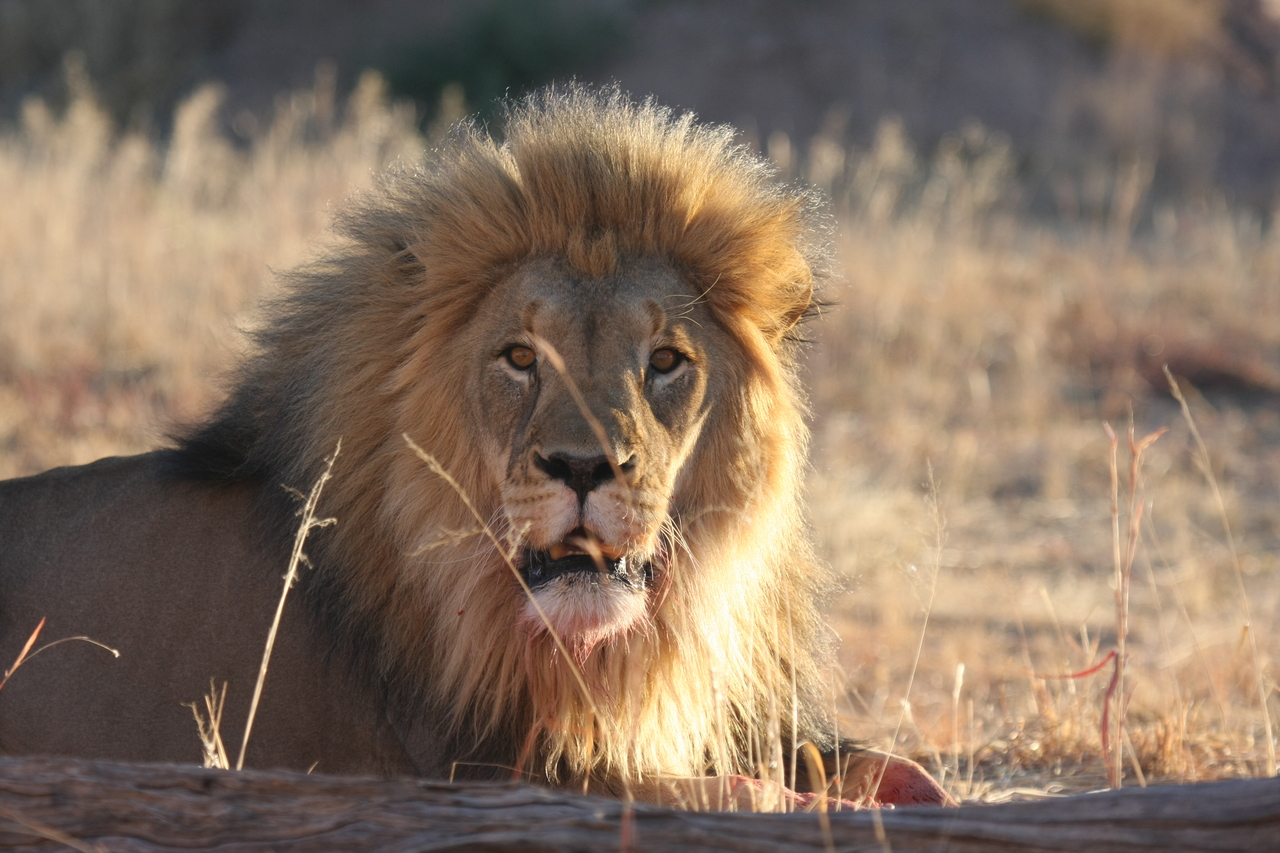 [7910] 2016_06_23_11_47_30_Africa_Canon_EOS_40D_IMG__09356.jpg