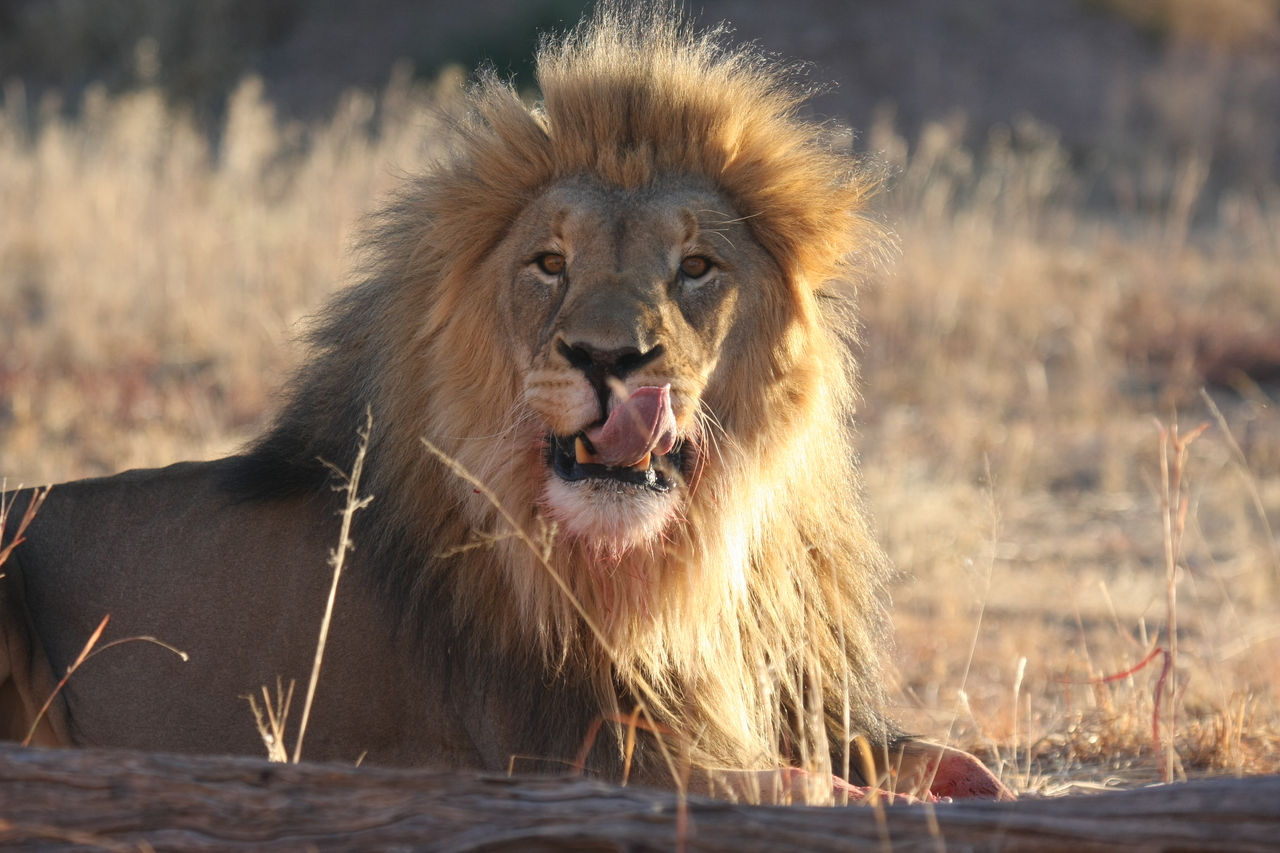 [7915] 2016_06_23_11_47_31_Africa_Canon_EOS_40D_IMG__01911.jpg