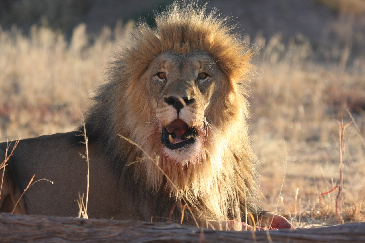 [7919] 2016_06_23_11_47_31_Africa_Canon_EOS_40D_IMG__09359.jpg