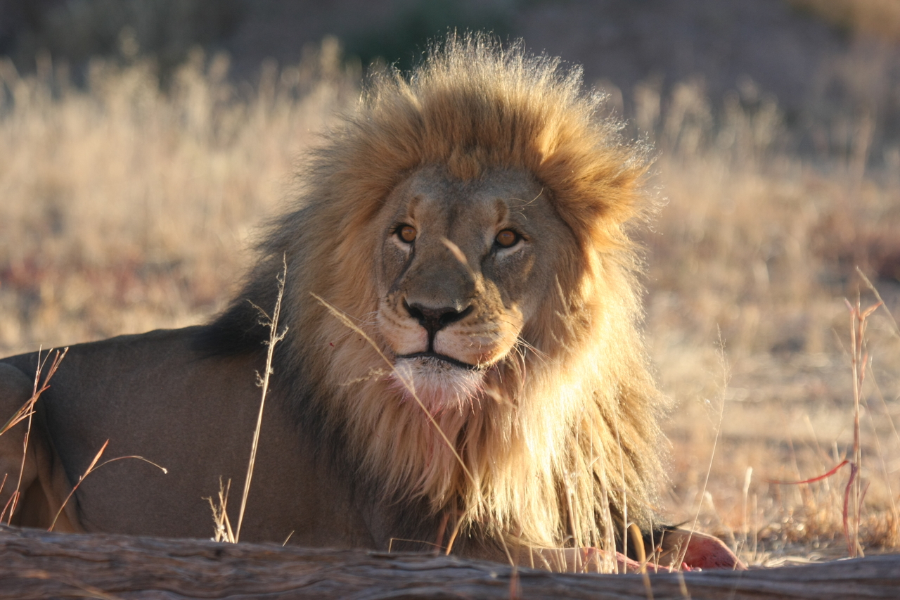 [7929] 2016_06_23_11_47_32_Africa_Canon_EOS_40D_IMG__09364.jpg