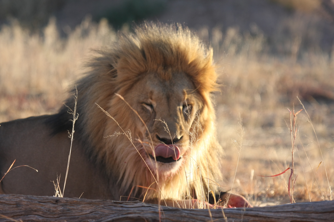 [7938] 2016_06_23_11_47_34_Africa_Canon_EOS_40D_IMG__09367.jpg