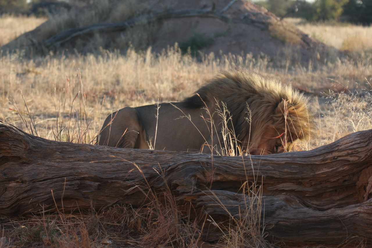 [7956] 2016_06_23_11_48_10_Africa_Canon_EOS_40D_IMG__01589.jpg