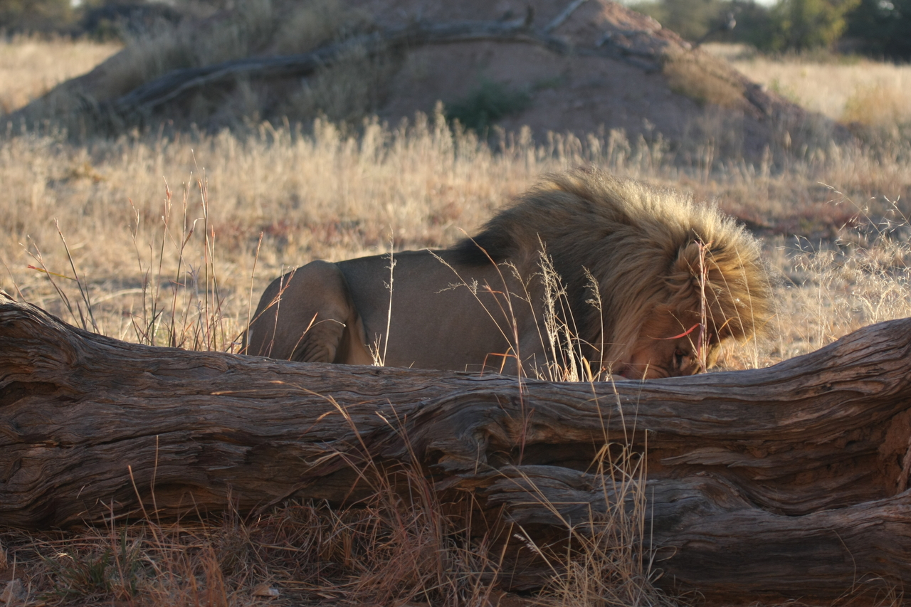 [7957] 2016_06_23_11_48_10_Africa_Canon_EOS_40D_IMG__01926.jpg