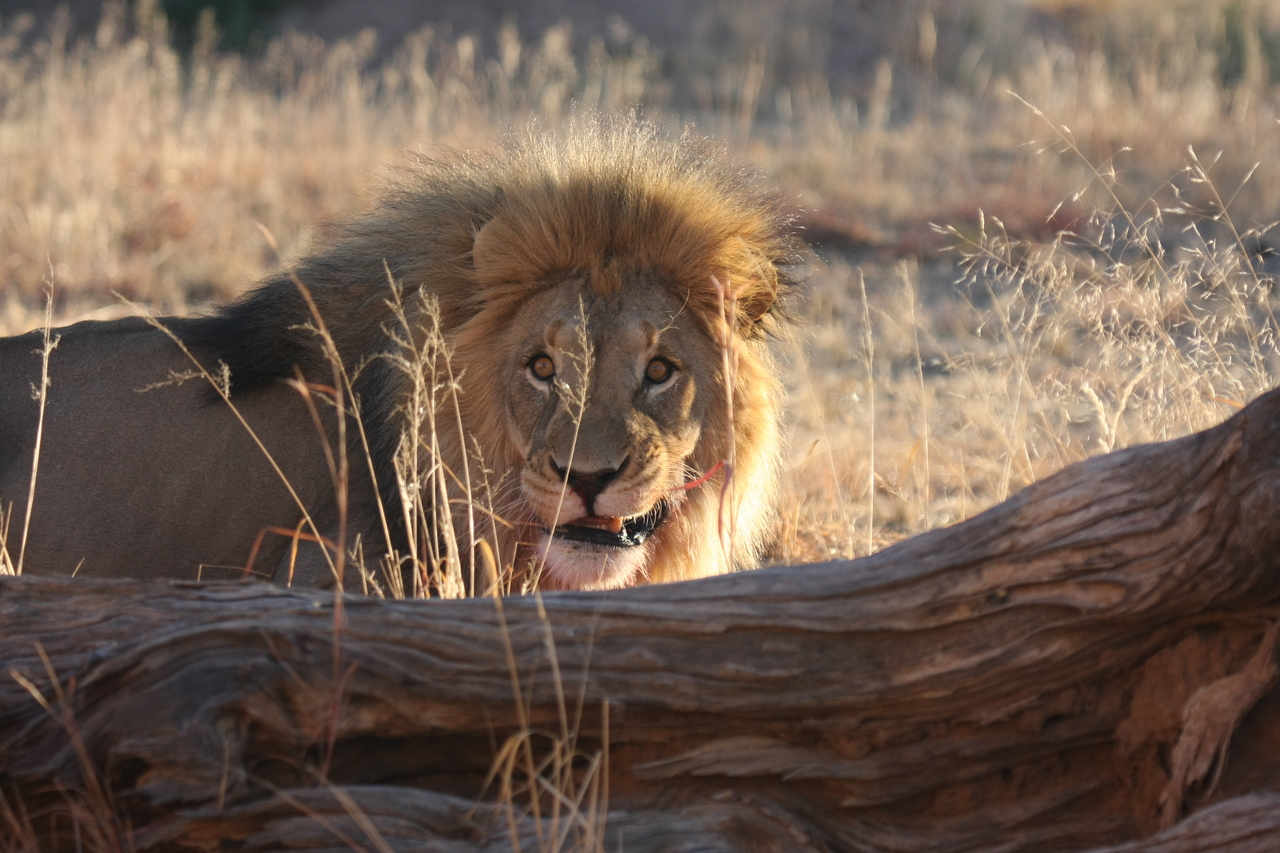 [7968] 2016_06_23_11_48_38_Africa_Canon_EOS_40D_IMG__01593.jpg