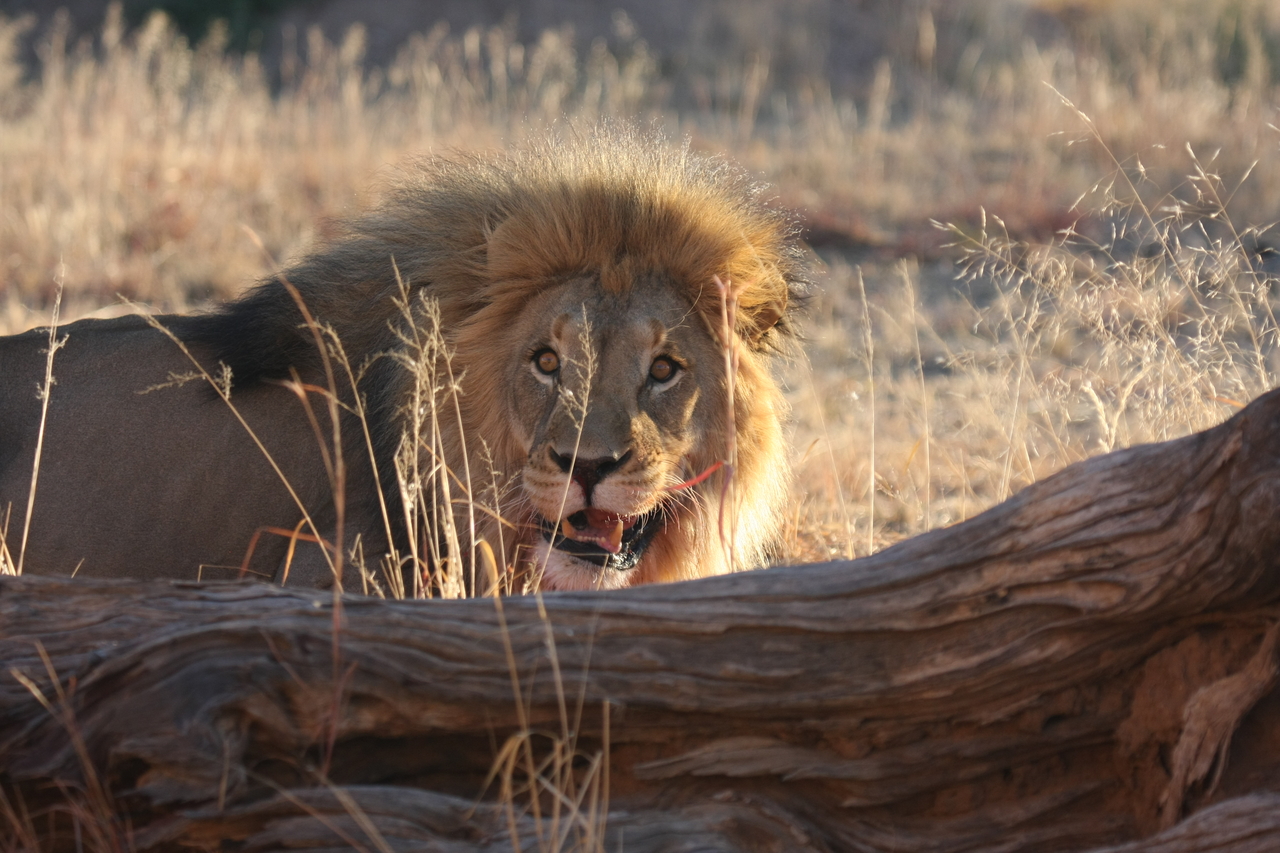 [7970] 2016_06_23_11_48_38_Africa_Canon_EOS_40D_IMG__09039.jpg