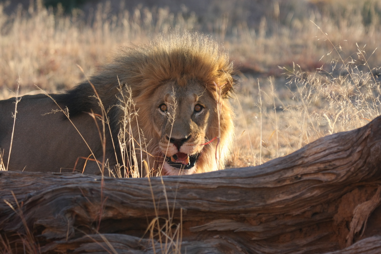 [7980] 2016_06_23_11_48_39_Africa_Canon_EOS_40D_IMG__09043.jpg