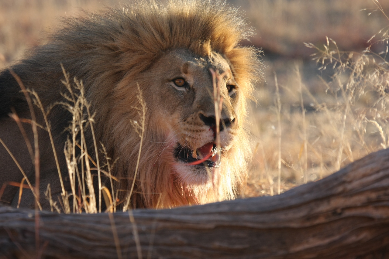 [7985] 2016_06_23_11_48_44_Africa_Canon_EOS_40D_IMG__01598.jpg