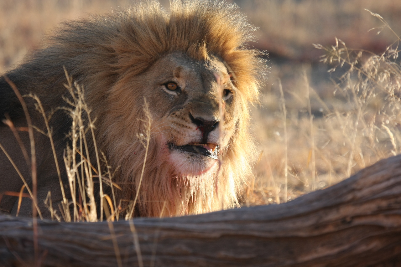 [7998] 2016_06_23_11_48_45_Africa_Canon_EOS_40D_IMG__09050.jpg