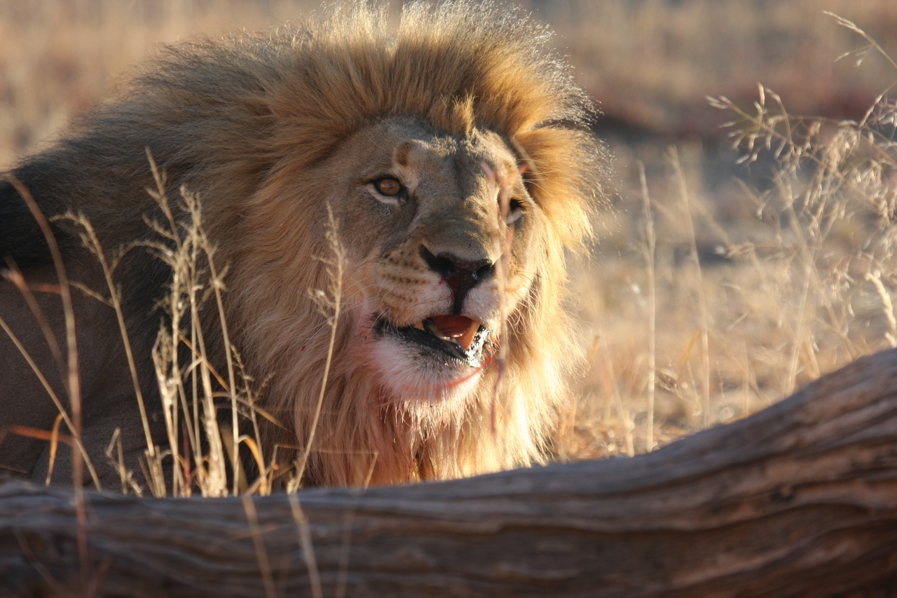 [7999] 2016_06_23_11_48_46_Africa_Canon_EOS_40D_IMG__00770.jpg