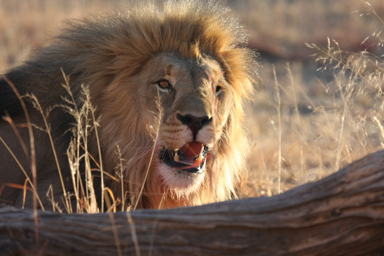 [8000] 2016_06_23_11_48_46_Africa_Canon_EOS_40D_IMG__00771.jpg