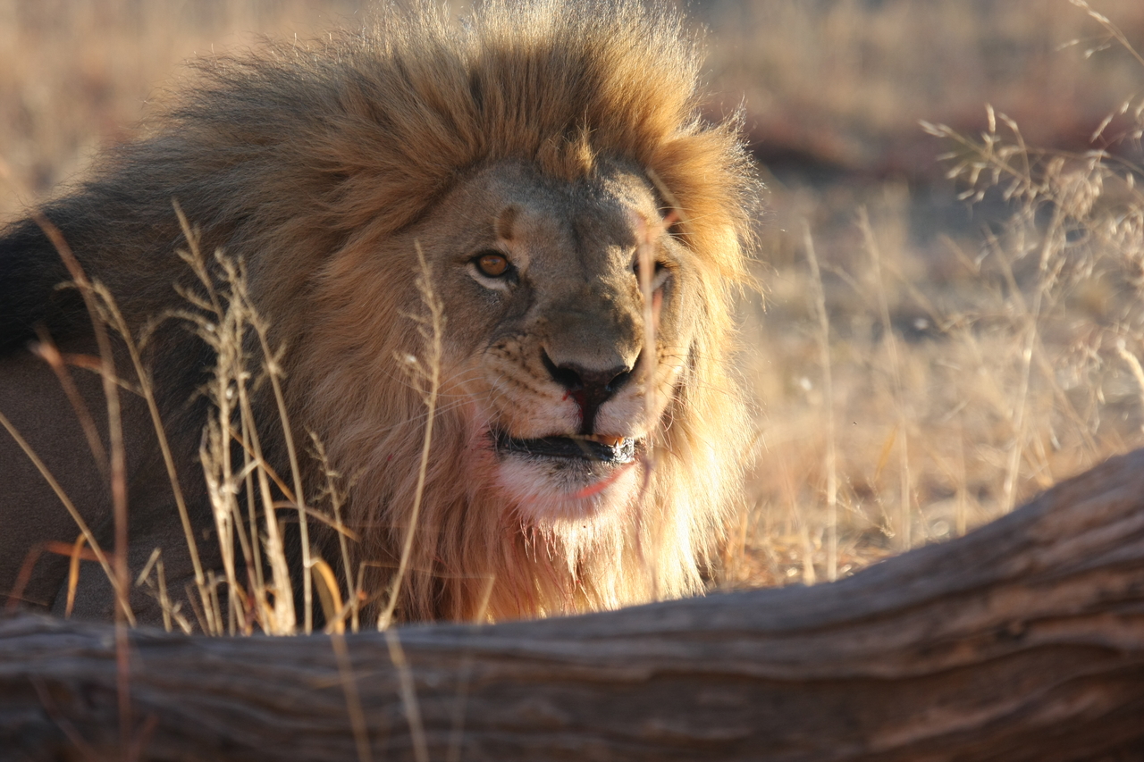 [8004] 2016_06_23_11_48_46_Africa_Canon_EOS_40D_IMG__01606.jpg