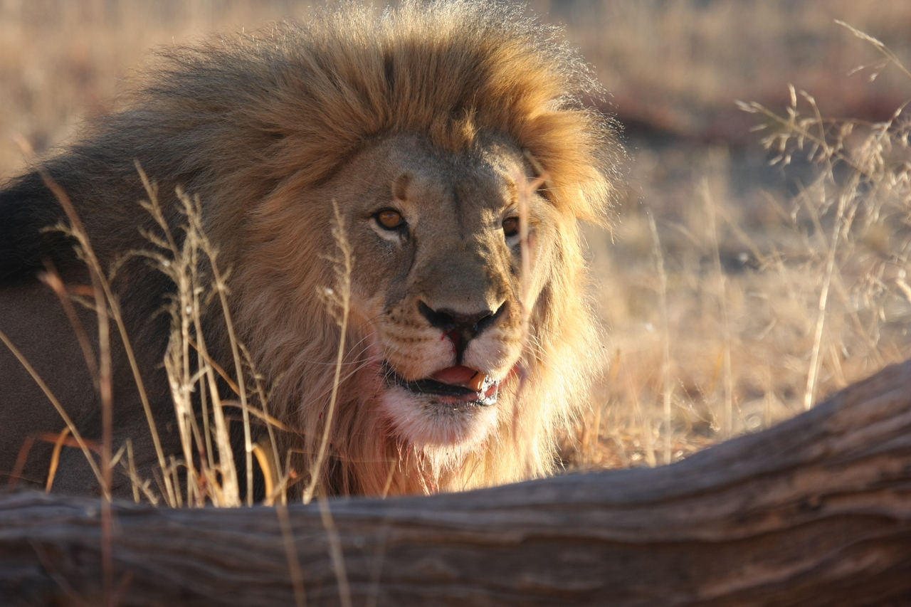 [8014] 2016_06_23_11_48_47_Africa_Canon_EOS_40D_IMG__09054.jpg