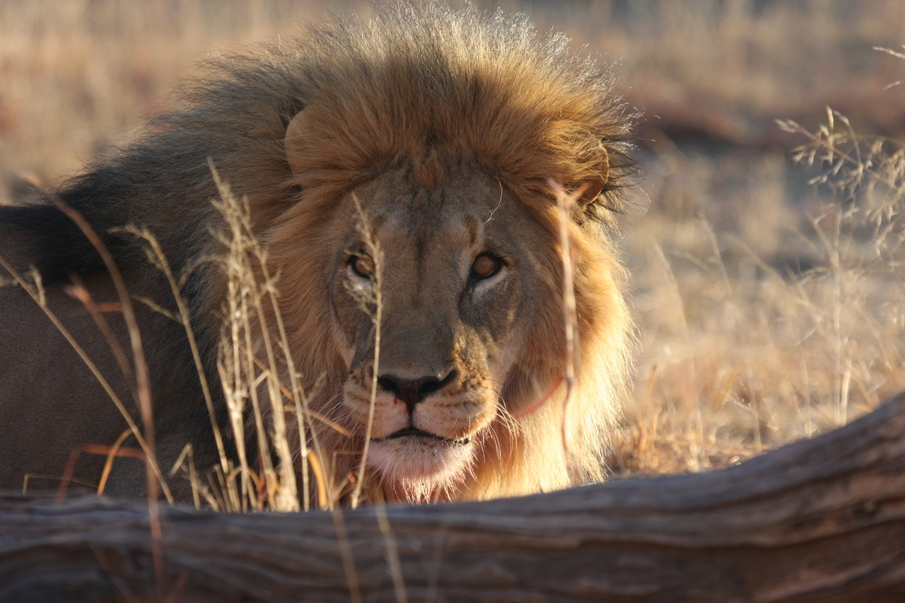 [8021] 2016_06_23_11_48_50_Africa_Canon_EOS_40D_IMG__00779.jpg