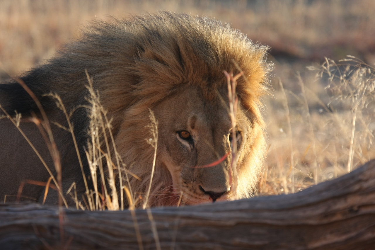 [8034] 2016_06_23_11_48_51_Africa_Canon_EOS_40D_IMG__09063.jpg