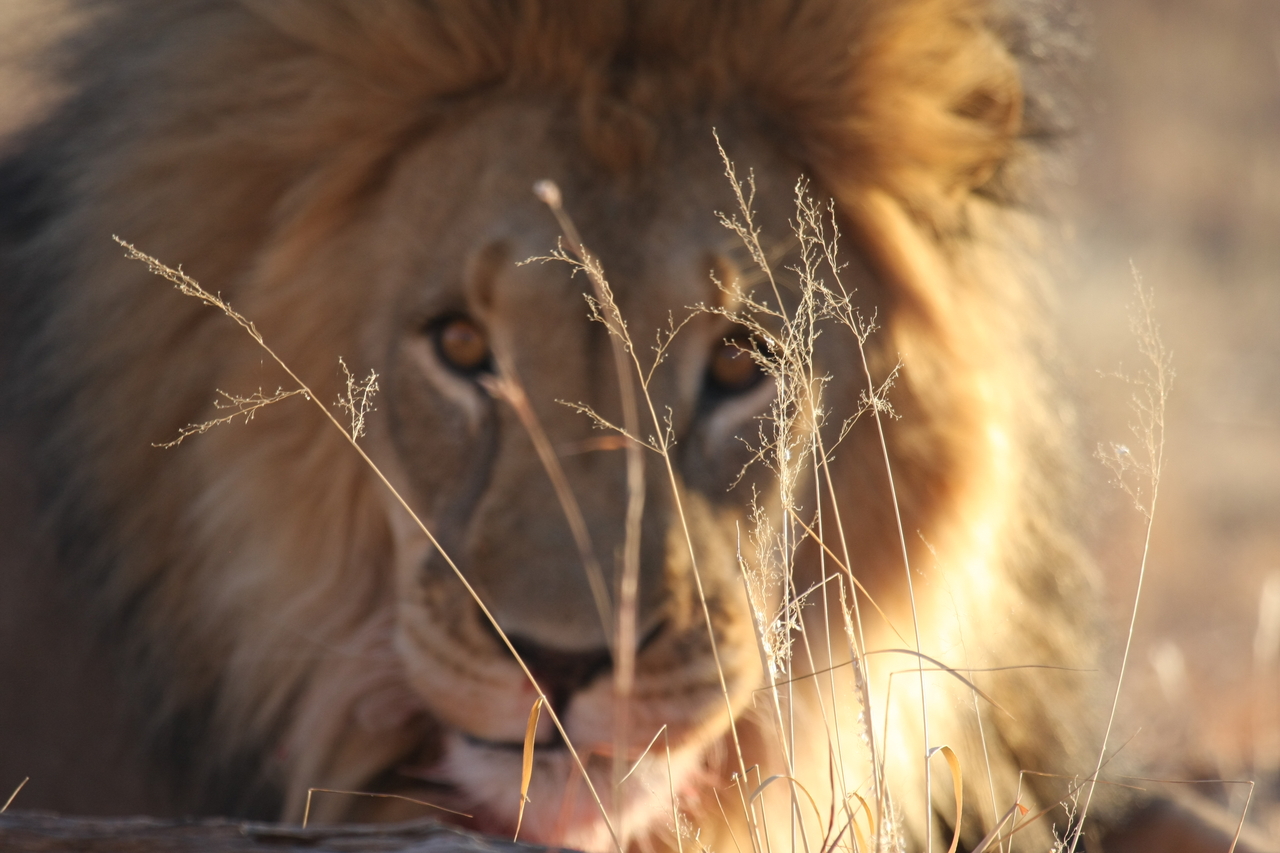 [8052] 2016_06_23_11_49_20_Africa_Canon_EOS_40D_IMG__01624.jpg