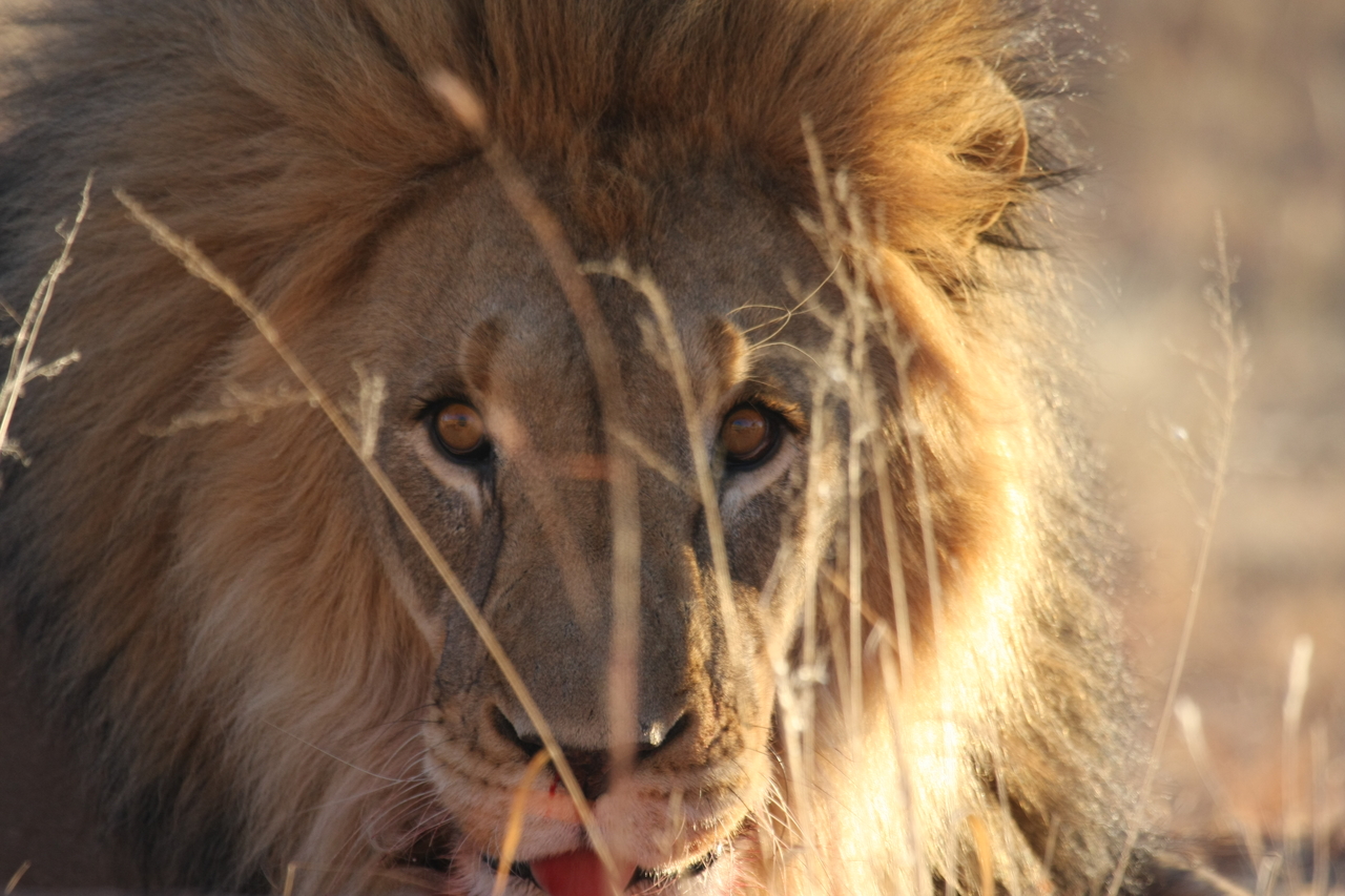 [8053] 2016_06_23_11_49_20_Africa_Canon_EOS_40D_IMG__09069.jpg