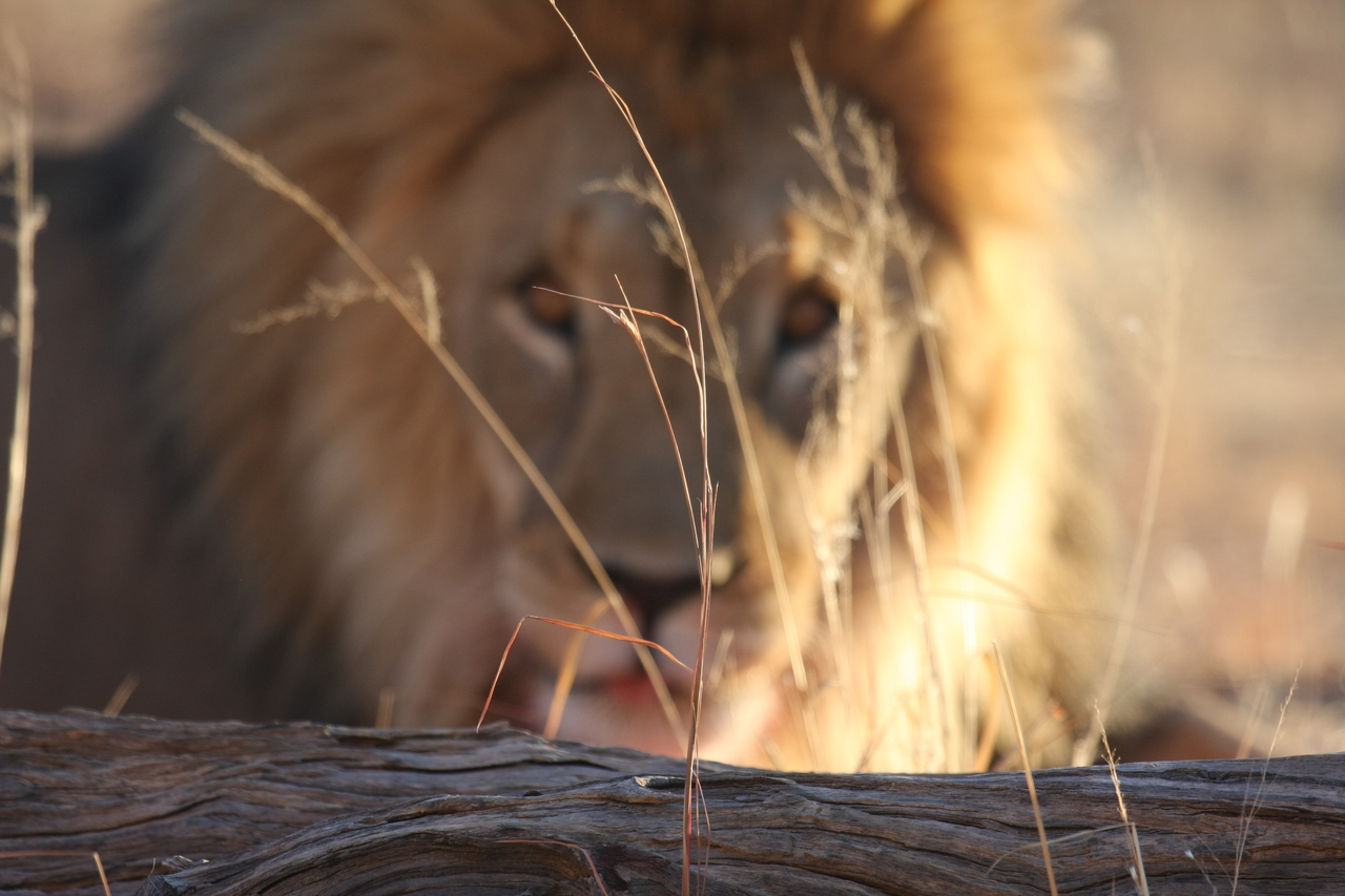 [8066] 2016_06_23_11_49_26_Africa_Canon_EOS_40D_IMG__09074.jpg