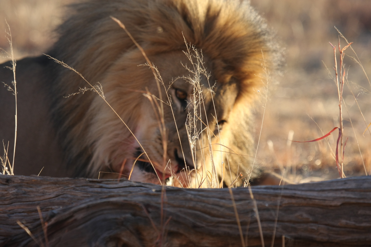 [8069] 2016_06_23_11_49_41_Africa_Canon_EOS_40D_IMG__01629.jpg