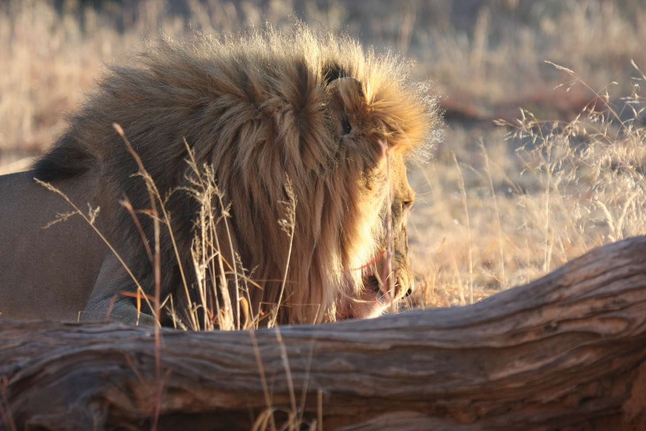 [8071] 2016_06_23_11_50_26_Africa_Canon_EOS_40D_IMG__00796.jpg