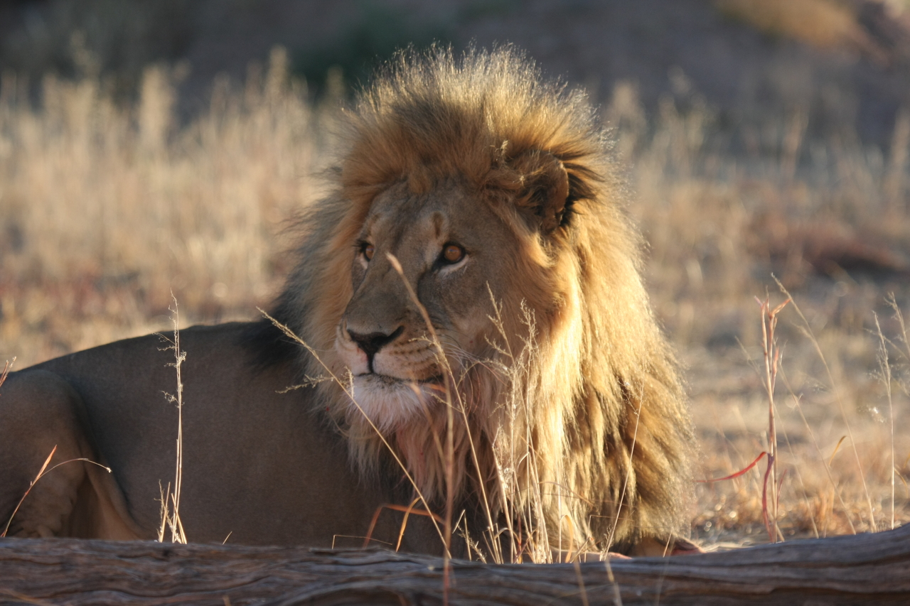 [8078] 2016_06_23_11_51_08_Africa_Canon_EOS_40D_IMG__01633.jpg