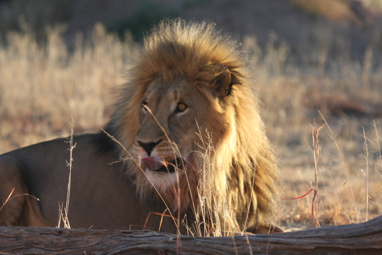 [8088] 2016_06_23_11_51_09_Africa_Canon_EOS_40D_IMG__01637.jpg