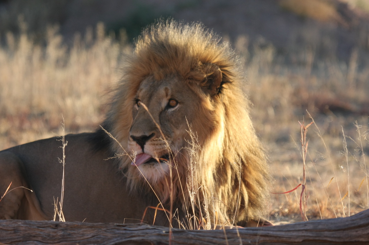 [8097] 2016_06_23_11_51_11_Africa_Canon_EOS_40D_IMG__01639.jpg