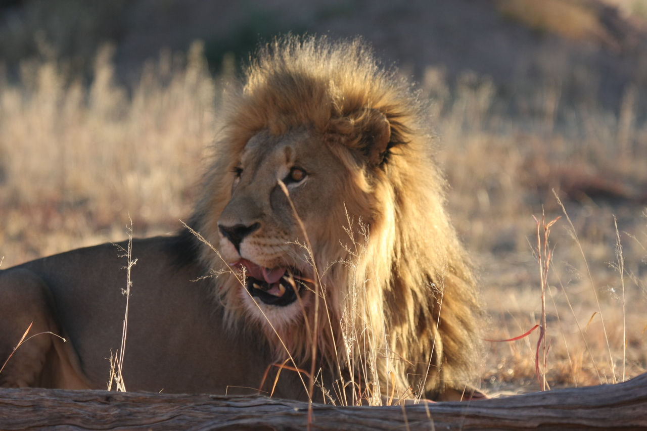 [8100] 2016_06_23_11_51_11_Africa_Canon_EOS_40D_IMG__09087.jpg