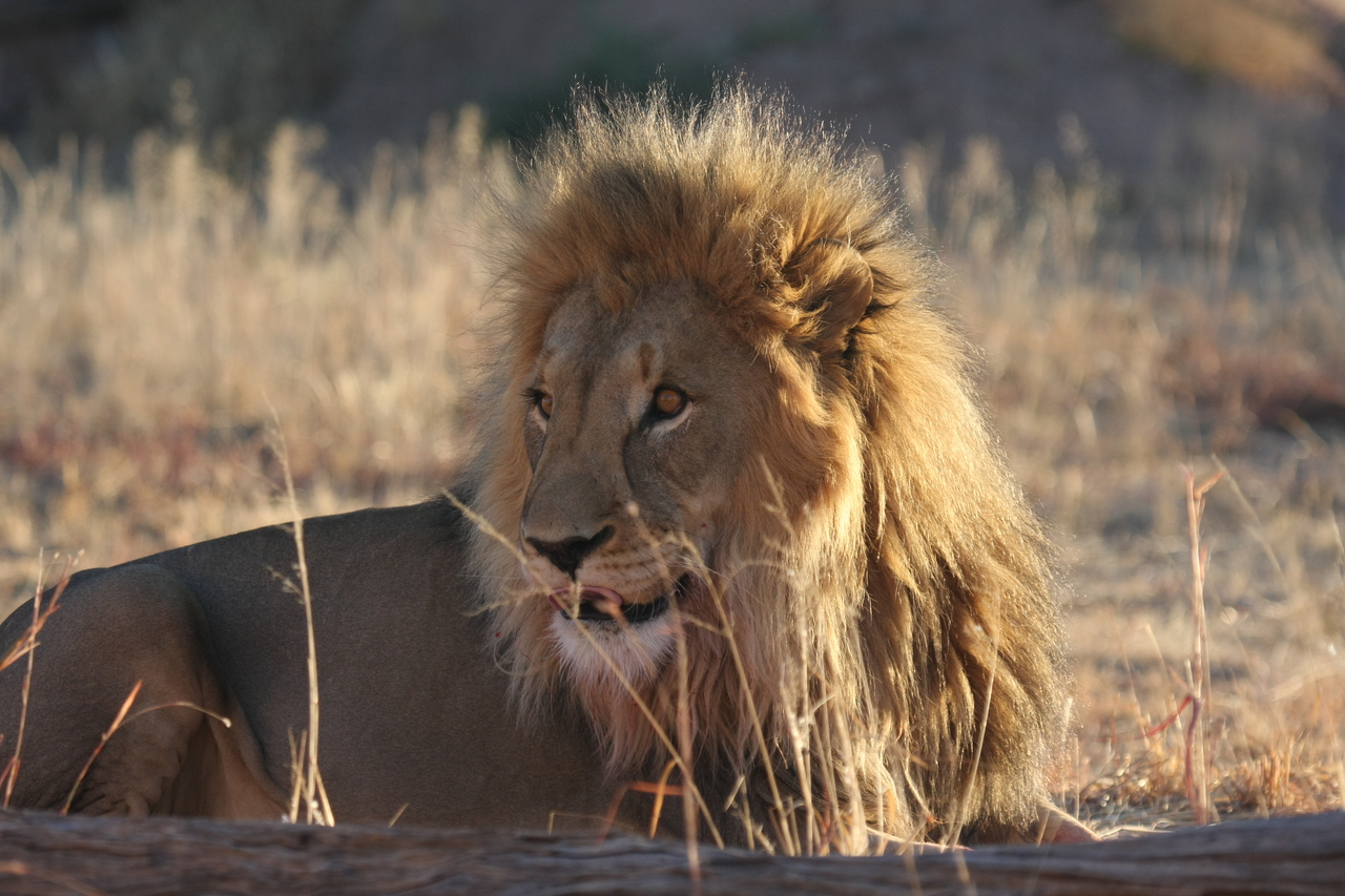 [8102] 2016_06_23_11_51_13_Africa_Canon_EOS_40D_IMG__01641.jpg