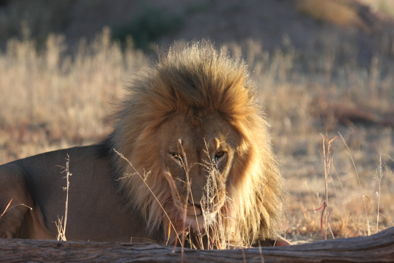 [8106] 2016_06_23_11_51_14_Africa_Canon_EOS_40D_IMG__09089.jpg