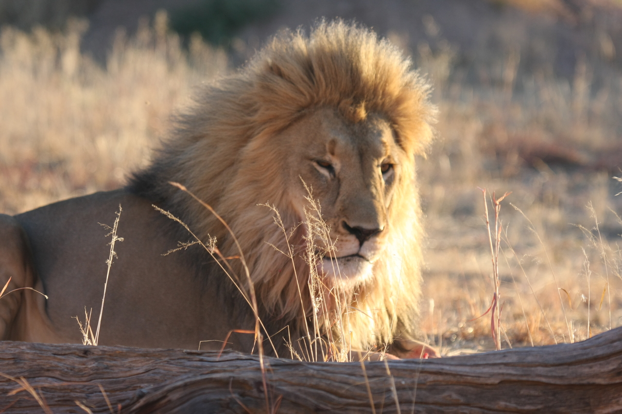 [8124] 2016_06_23_11_51_42_Africa_Canon_EOS_40D_IMG__09096.jpg