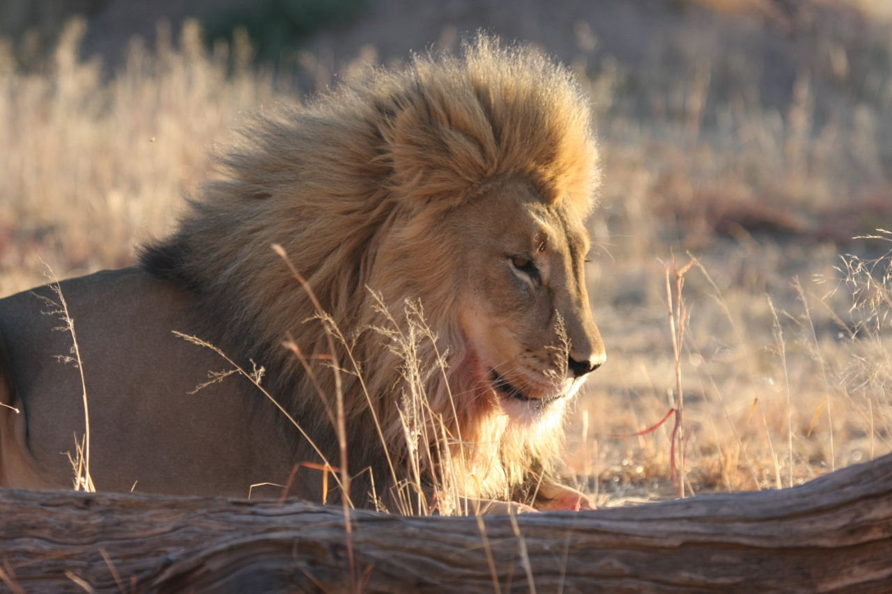 [8127] 2016_06_23_11_51_43_Africa_Canon_EOS_40D_IMG__09097.jpg